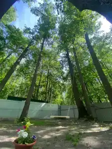 Baza Otdykha Monte-Karlo - 26