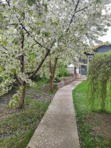Zaton Guesthouse - 15
