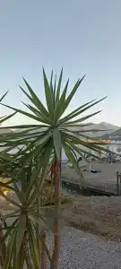 Tui Blue Grand Azur - 74