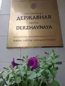 Державный - 10