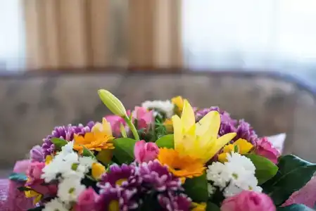 СпбВергаз - 65