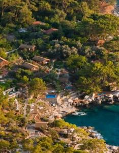 Perdue Adults Only - 6