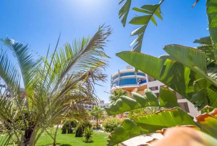 Seagull Beach Resort - Families and Couples Only - 41