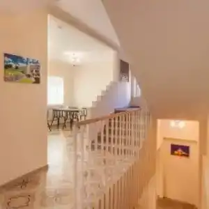 Democrat on Fontanka 104 2K - 88