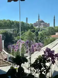 Yasmak Sultan - 14