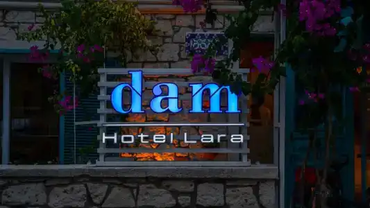 DAM Lara - 16