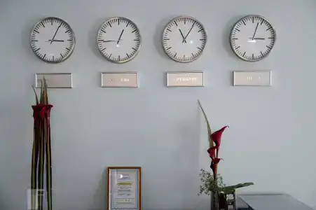 Stepnaya Palmira - 2