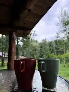 База отдыха Дубки - 55