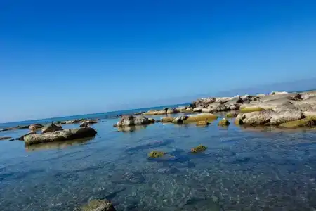 Renaissance by Sulo - 40