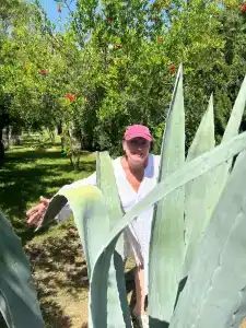 Elysium Elite&Spa - 80