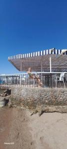 Marlin Inn Azur Resort - 22