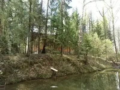 Эко Березовая роща - 32