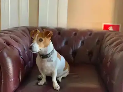 Bogemia on Vavilova Street - 45