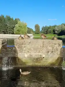 Медикал Спа Резорт Альфа Радон - 95