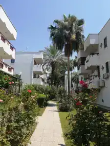 Antik Garden - All Inclusive - 64