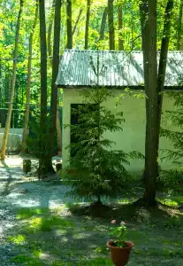 Baza Otdykha Monte-Karlo - 91