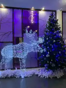 Gostinechniy Kompleks Lyubim - 25