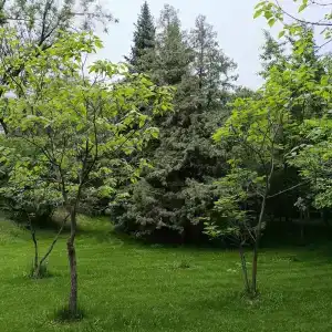 Okzhetpes Sanatorium - 31