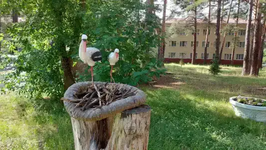 Lesnye Kvartaly Glamping - 38