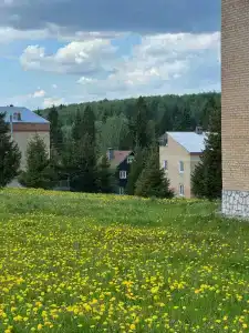 Коттеджный Комплекс Шиболово-Горки - 61