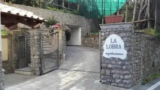 Agriturismo La Lobra - 1