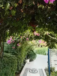 Golden Beach Resort & Spa - 55