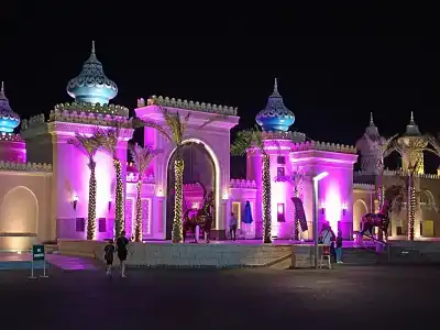 Pickalbatros Jungle Aqua Park - Neverland - 68