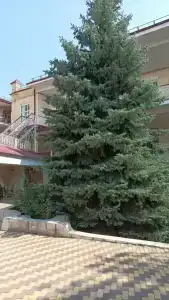 Pyatigorskaya Klinika Guest house - 41