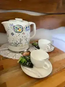 Goosi-Lebedi Wellness Centre - 40