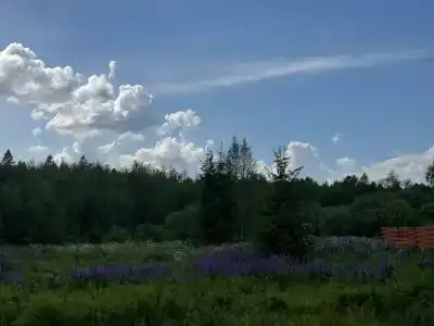 Barskie polya Tourist base - 41