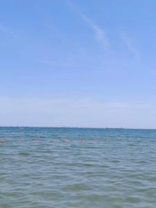 ОАЗИС домики - 97