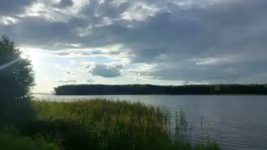 Zaliv - 64