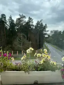 Андерсен - 54