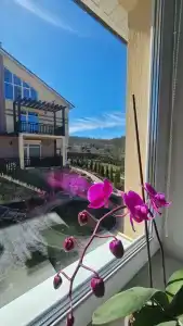 Abrau soul spa - 8