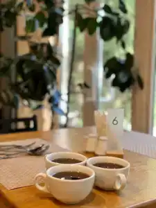 "Energetik" Sanatorium - 45