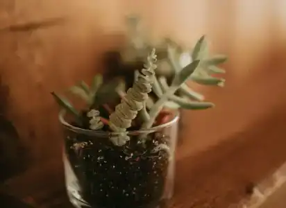 Loca'ada Büyükada - 47