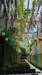 Cali Hill Resort - 5