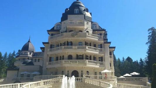 Festa Winter Palace - 14