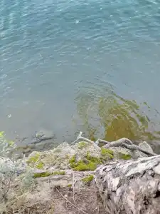 Vesna Tourist base - 22