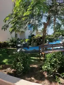 Seagull Beach Resort - Families and Couples Only - 47