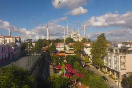 Erguvan - Special Category - 55