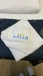 Guest House Altai - 33