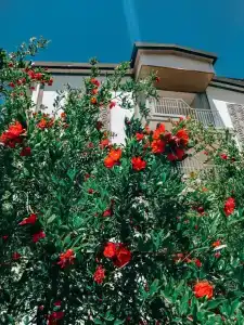 Elysium Elite&Spa - 34