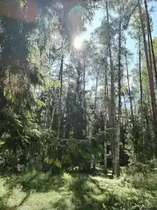 Sol Zhdanovets - 26