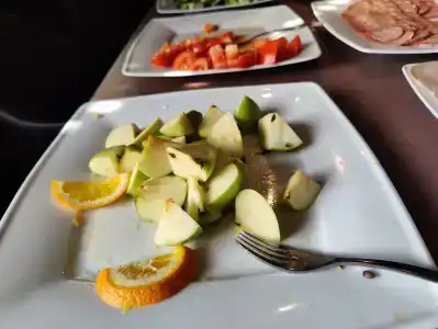 Gostinitsa Rossiya - 96