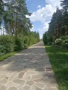 Lesnaya skazka - 35