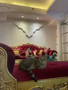 Alaiye Kleopatra - 21