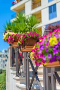 Apart Katunjanin - 16