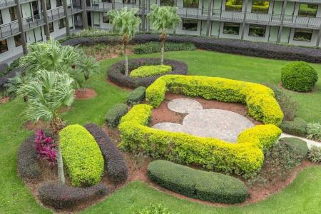 Wyndham Garden Lake Buena Vista – Disney Springs® Area - 15