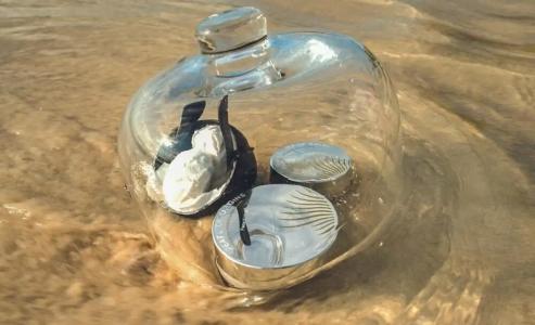 Royal Palm Beachcomber Luxury - 28